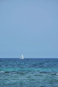 Sailboat sailing in sea against clear sky