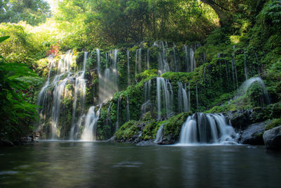 One of beutifull waterfall in bali, indonesia. located in singaraja bali.