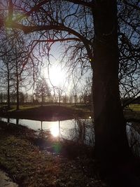 Silhouette bare trees by lake against sky