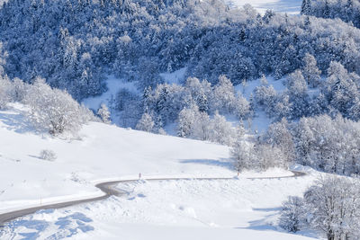 High angle view of snow covered land