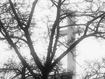 Low angle view of bare tree against sky