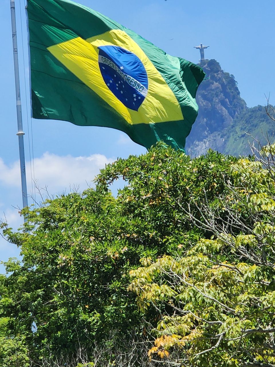 flag, nature, patriotism, environment, green, sky, plant, wind, no people, day, tree, yellow, low angle view, outdoors, blue, flower, leaf, mountain, multi colored, symbol