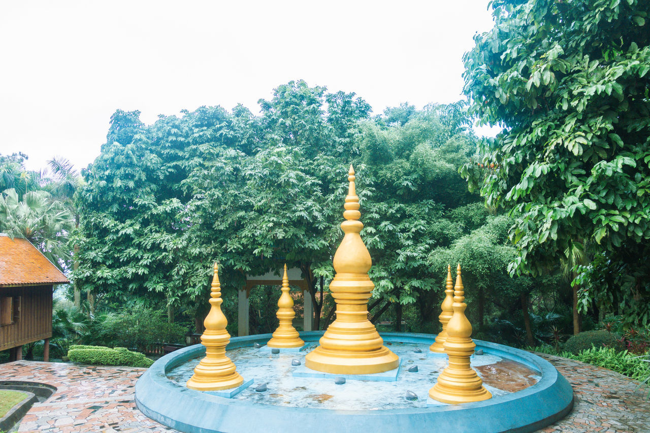 HIGH ANGLE VIEW OF CHESS PIECES OF TREES