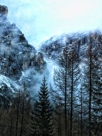 Scenic view of snow covered forest