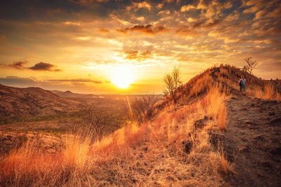 Scenic view of field against sky during sunset