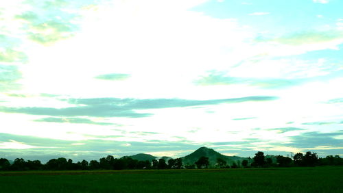 Scenic view of field against sky