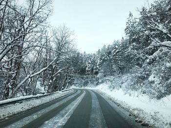 Road amidst trees against sky during winter