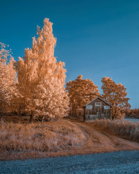 Trees by building against clear blue sky