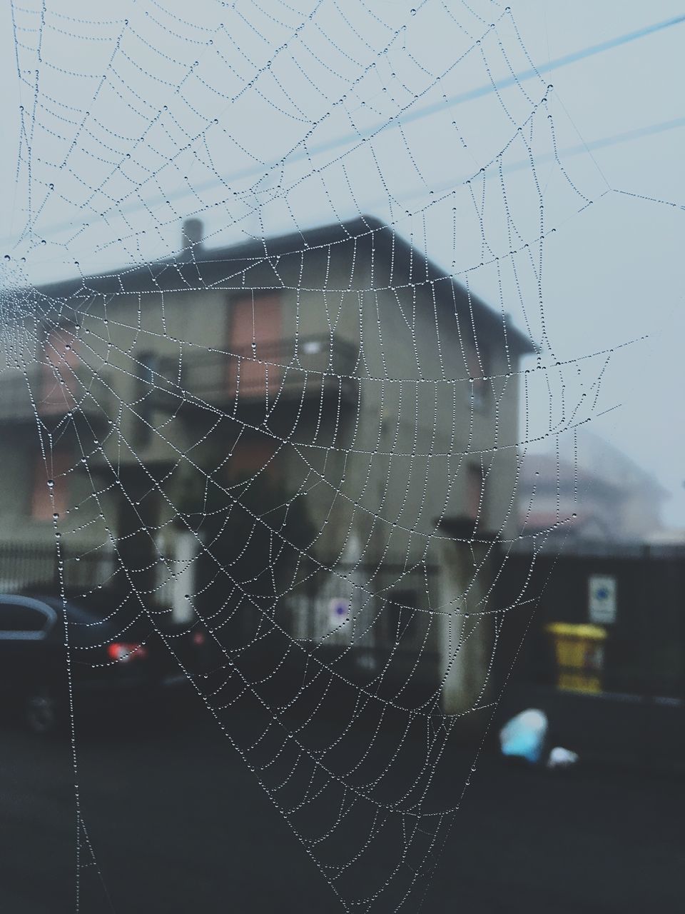 transportation, architecture, building exterior, built structure, city, window, car, transparent, mode of transport, wet, indoors, land vehicle, drop, glass - material, road, sky, street, rain, dusk, no people