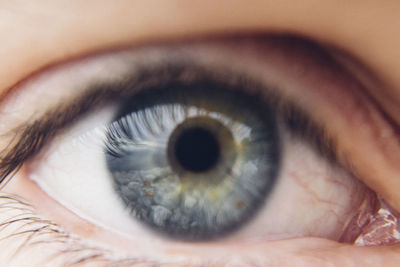 Extreme close up of human eye