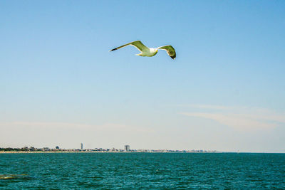 Seagull flying over sea against sky