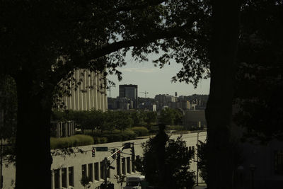 Trees and cityscape against sky