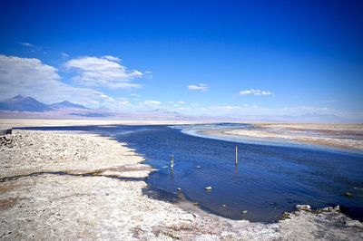 Scenic view of beach against blue sky