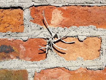 Full frame shot of weathered wall