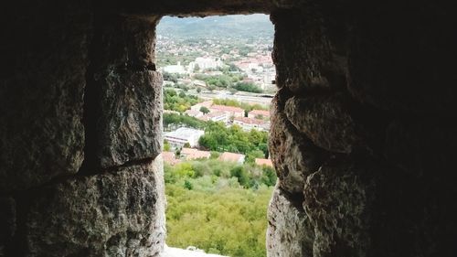 View of trees through landscape