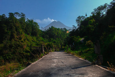 Road amidst trees against sky