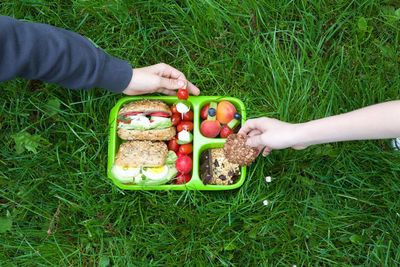 High angle view of hand holding apple on grass