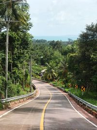 Road by trees against sky