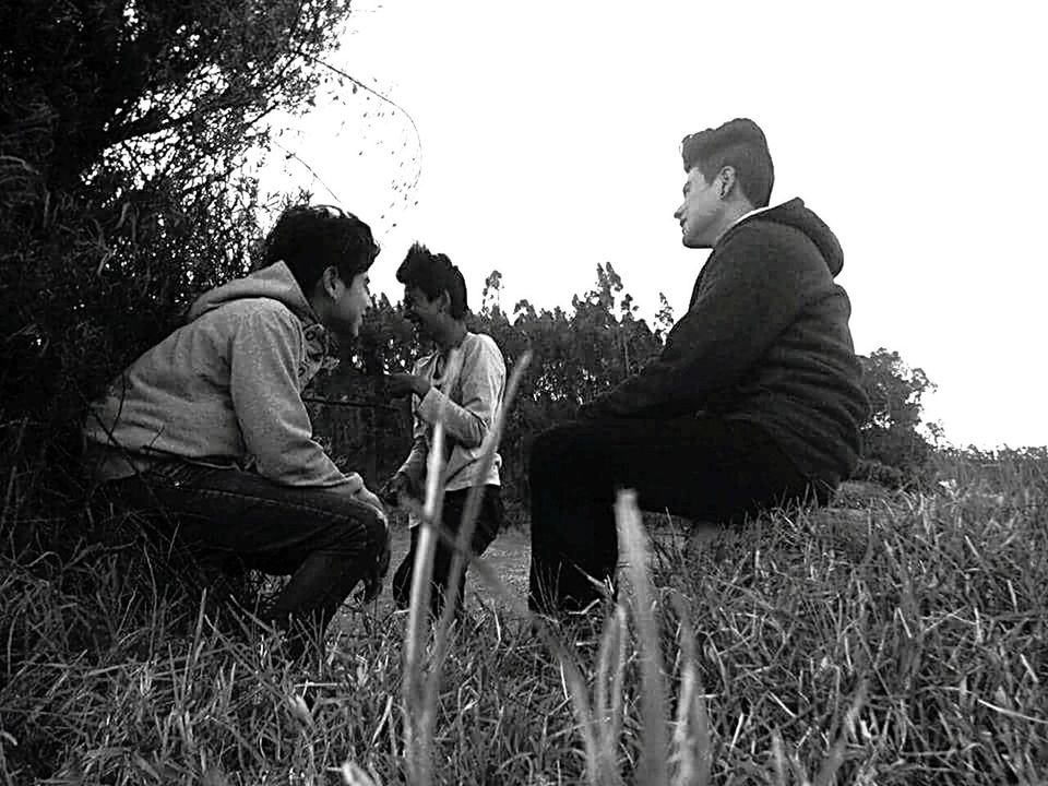 men, lifestyles, leisure activity, casual clothing, rear view, grass, togetherness, field, full length, clear sky, person, sky, standing, sitting, tree, bonding, day