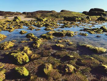 Scenic view of rocks against clear sky