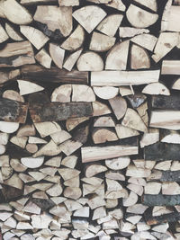 Full frame shot of wooden logs in forest