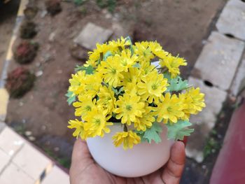 yellow