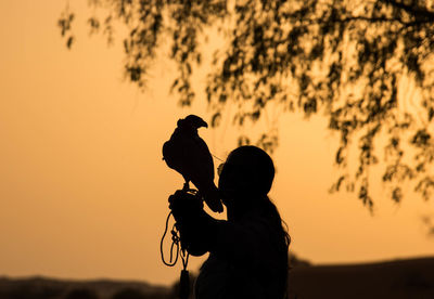 Silhouette falcon perching on woman hand against orange sky