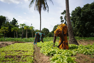 People working on agricultural field against sky