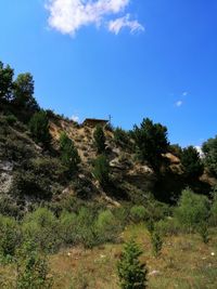 Trees on landscape against blue sky