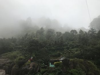 Scenic view of forest against sky during foggy weather