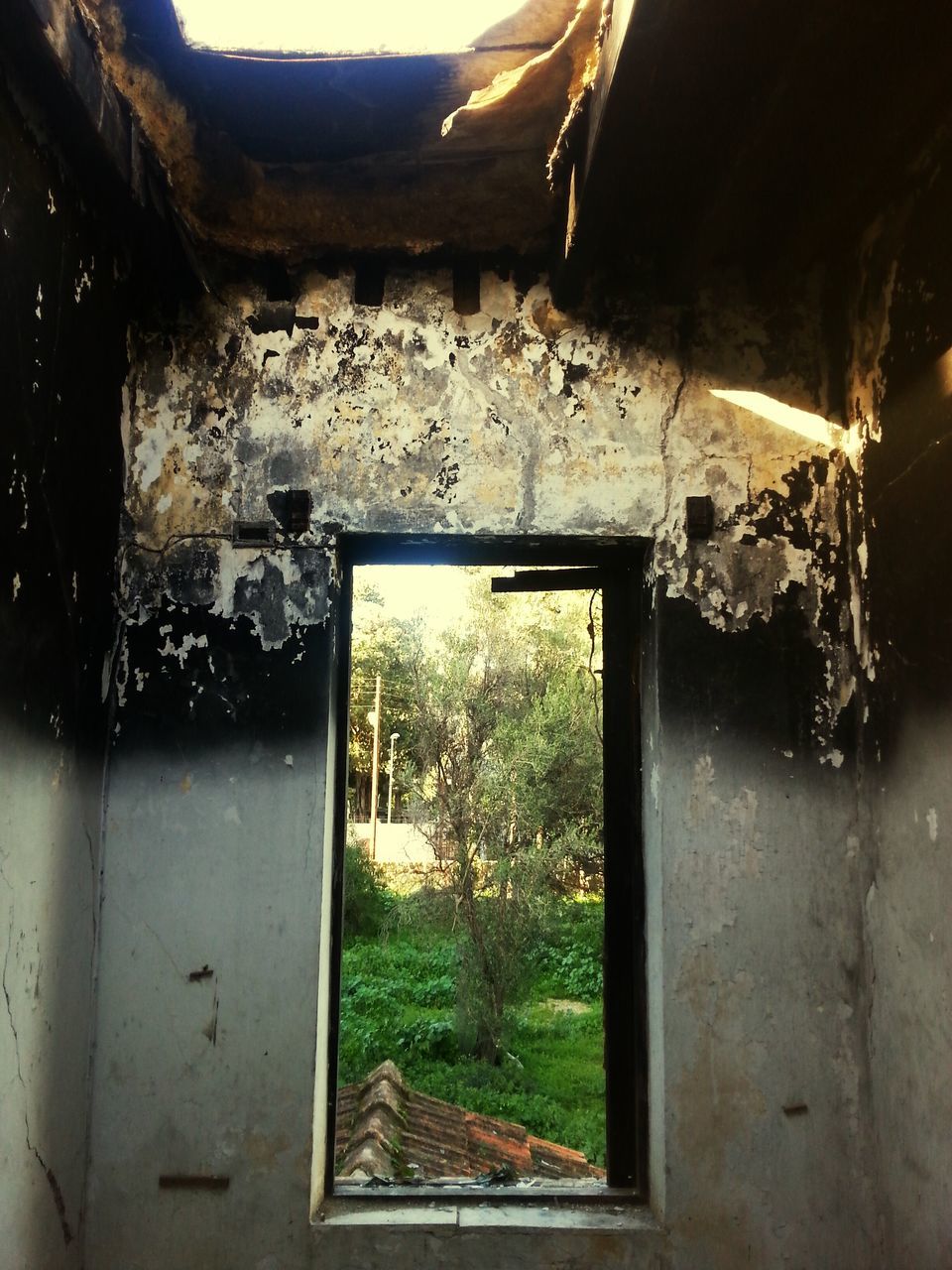 abandoned, built structure, house, architecture, window, damaged, obsolete, indoors, old, run-down, deterioration, building exterior, bad condition, plant, day, weathered, ruined, no people, front or back yard, door