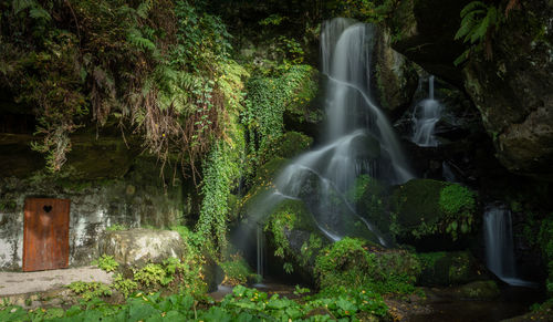 Scenic view of waterfall in forest