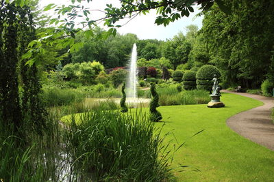 Fountain amidst plants at park