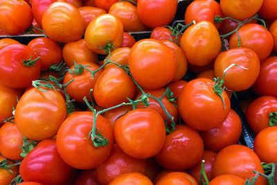 Full frame shot of tomatoes