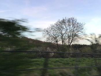 Fence by tree against sky