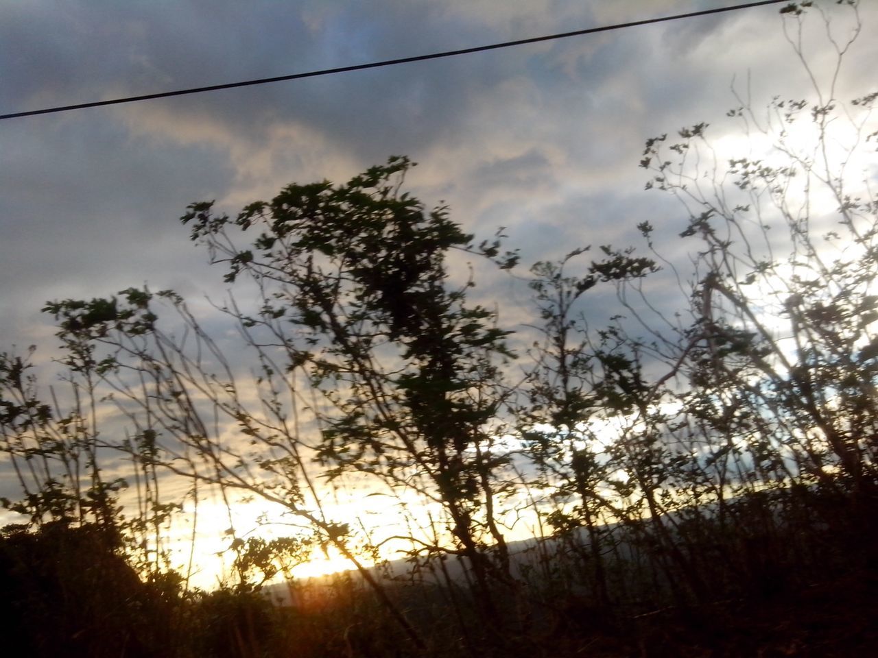 sky, tree, silhouette, sun, sunset, tranquility, tranquil scene, beauty in nature, cloud - sky, scenics, nature, low angle view, sunlight, growth, sunbeam, cloud, branch, idyllic, outdoors, landscape