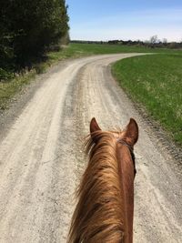 View of horse on road