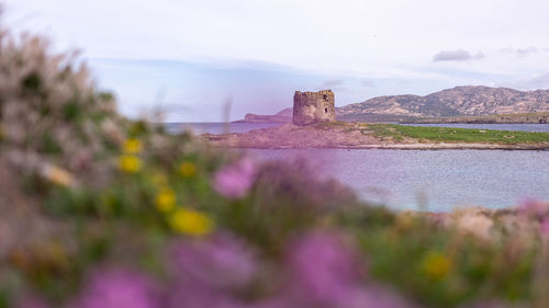 Surface level of castle against sky