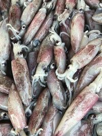 Full frame shot of fish for sale in market