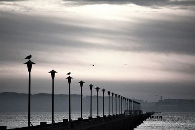 Birds flying over sea against sky