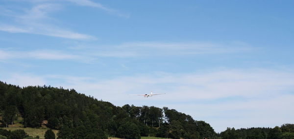 Glider on a background of the blue sky in the mountains flying over the trees