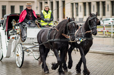 People riding horse cart