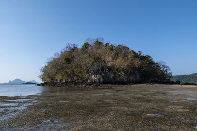 Scenic view of sea against clear blue sky