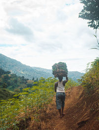 A farmer