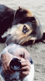 Close-up of young man reflecting on mirror against dog at beach