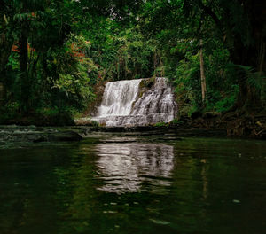 Waterfall in forest