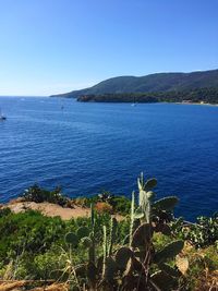 Scenic view of sea against clear blue sky