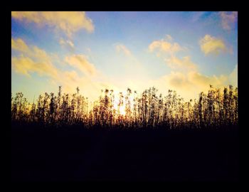 Scenic view of landscape at sunset