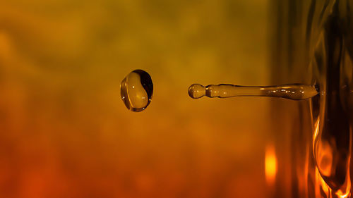 Close-up of water drop on leaf