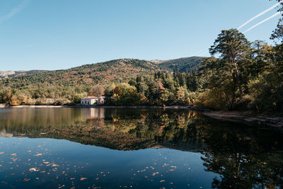 Reflection of trees in water against clear sky